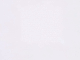 265 Fog