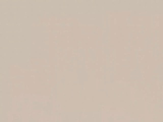 929 Oyster Gray