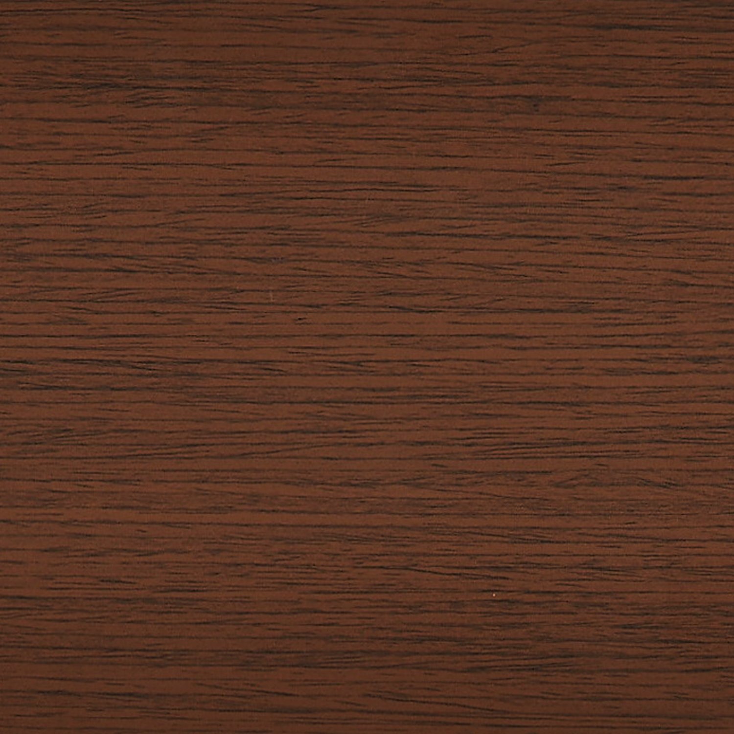 Coffee Bean-546