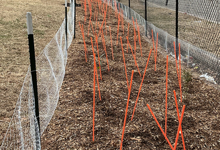 Ground Stakes Built for More Than Snow
