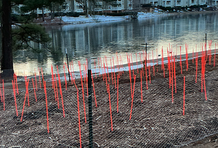 Sapling Marking Stakes That Actually Last