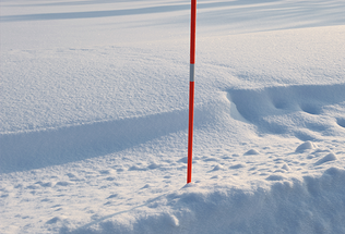 Wood Stakes vs. Polymer Snow Stakes Wood Stakes vs. Polymer Snow Stakes