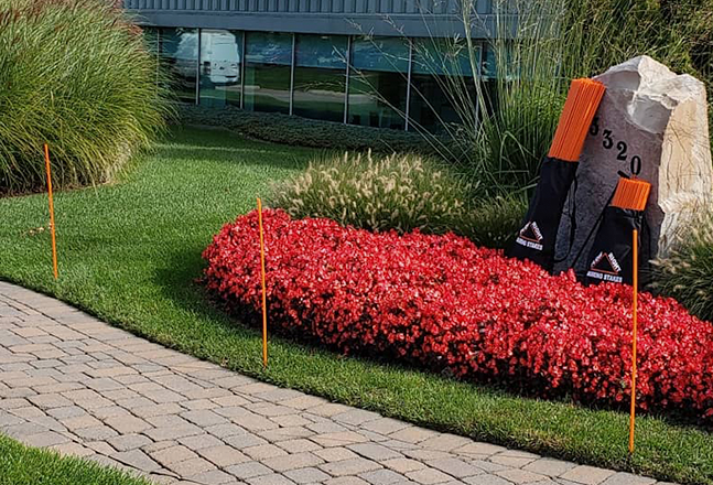 Fiberglass Marking Stakes Alternative Along Sidewalk