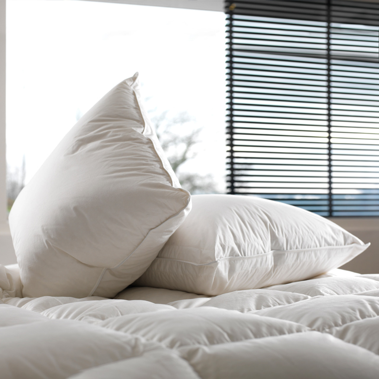 Euro (Square) Pillow Inserts