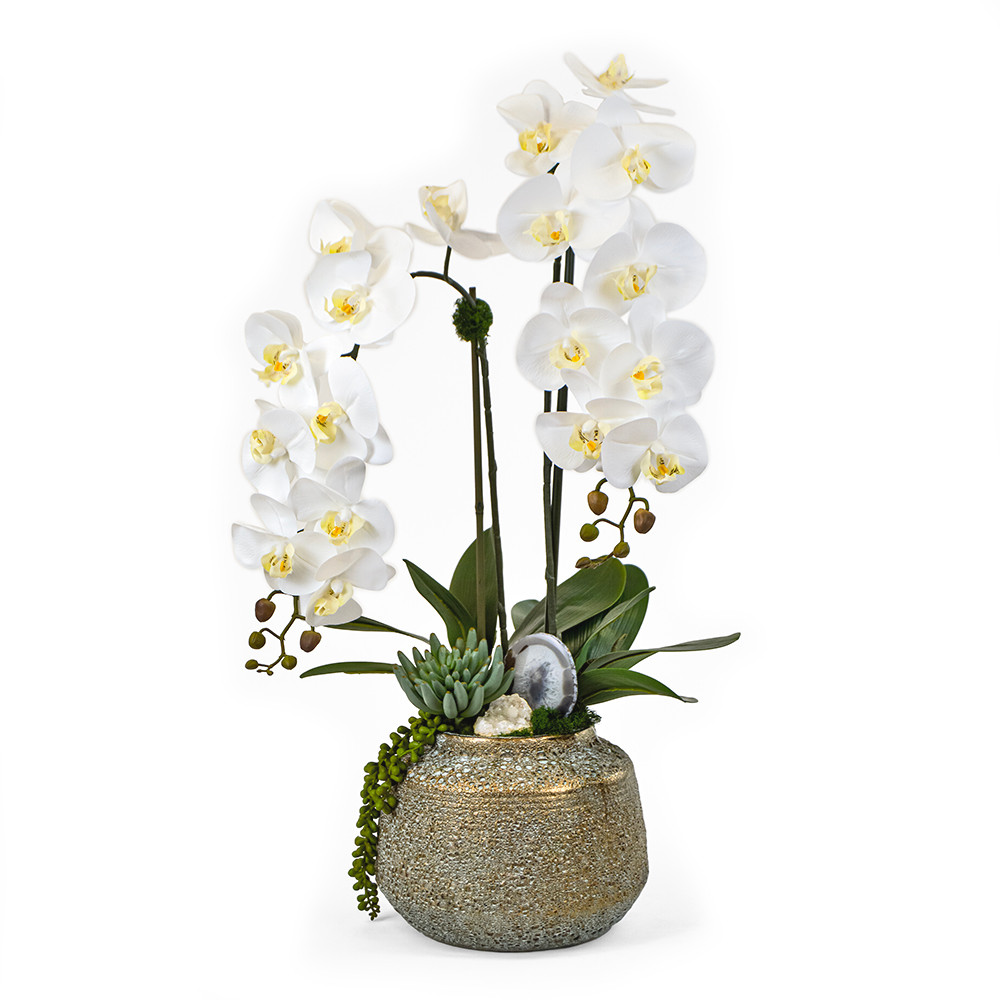 Orchid / Succulent /Agate