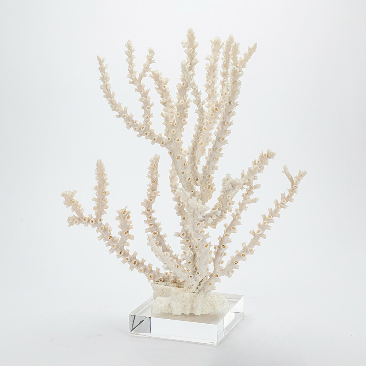 Home Decor - Coral Creations - Between The Sheets