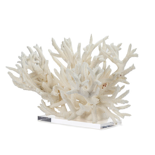 Home Decor - Coral Creations - Between The Sheets