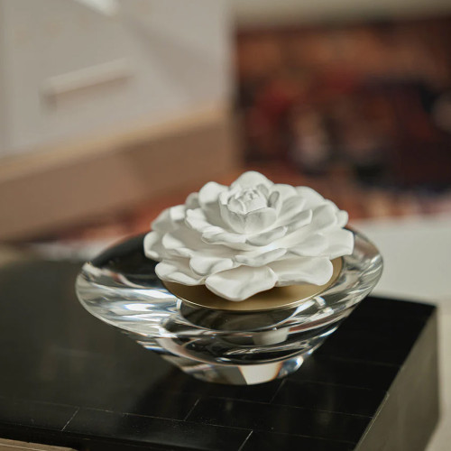 Dream Mini Crystal Diffuser