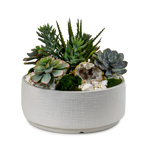 Succulents/Geode/Moss