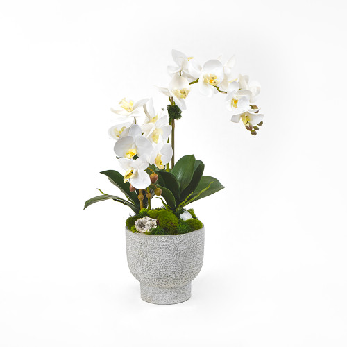 White orchid / geodes / moss