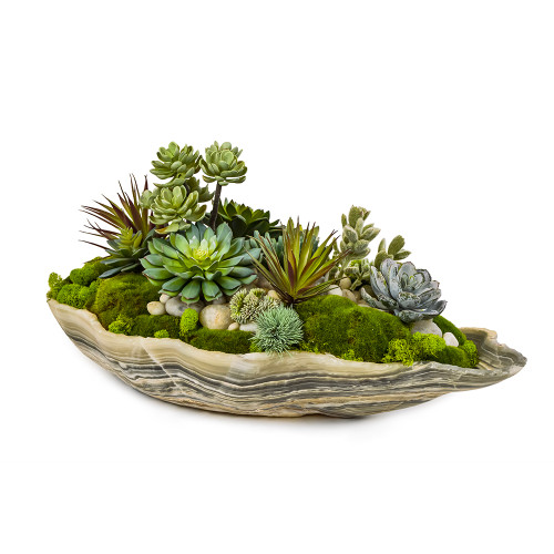 Succulents / moss & Grey rock