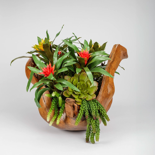 Bromelaids/moss/rocks in wood bowl