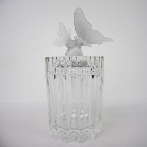 Butterfly covered jar