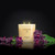 Black Orchid & Lily - 3 wick 21oz