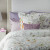 clori shams