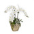 White orchid with succulent and moss