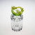 Tulip pate de verre- Frosted Green