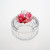 Camellia pate de verre- gold/pink