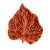 Gudrun birch leaf II
