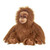 Orangutan Ranga