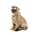 Baby Cheetah- Natural