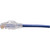 BELDEN C601106015 15' Category 6+ Modular Cord, Bonded-Pair, 4 Pair, 24 AWG Solid, Cmr, T568A/B-T568A/B, Blue Jacket
