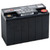 ENERSYS 12V13EP Genesis SLA Battery.12 Volt, 13Ah