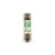 Bussmann FNQ-R-25