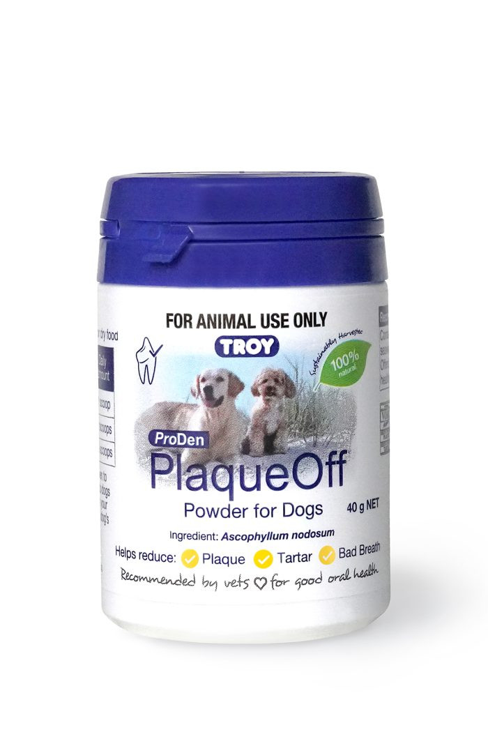 Troy Plaque Off for Dogs 40g - The Animal Pharmacy