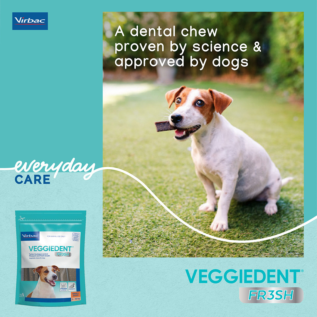 Veggiedent Dental Sticks for Small Dogs 5- 10kg (15 chews) The