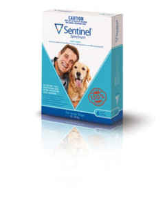 Cheapest sentinel hot sale spectrum large dog