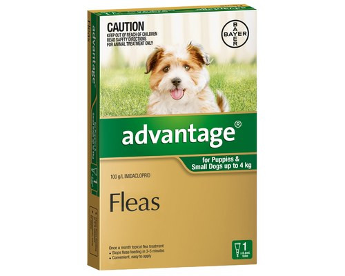 ADVANTAGE GREEN SMALL DOG/PUP (0-4kg) 4 PACK