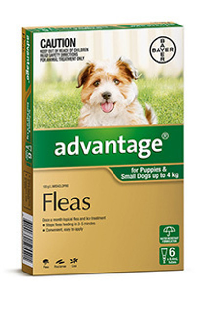 ADVANTAGE GREEN SM DOG/PUP (0-4kg) 6 PACK