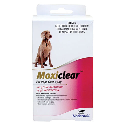 Moxiclear For Dogs Over 25kg Red (6 pack)