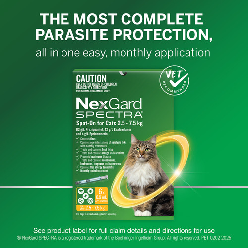 Nexgard Spectra Spot-On for Cats - 1 pack Nexgard Spectra Spot-On for Cats - 1 pack