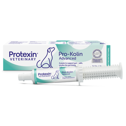 Visual representation of Pro-Kolin Advanced 60 mL, showing the packaging and the tube