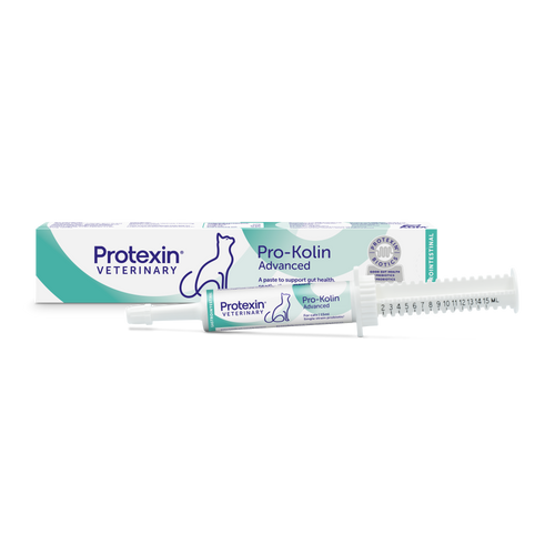 Pro-Kolin Advanced 15ml Cats