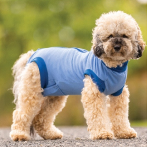 PetRhb Full Body Suit