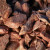 FuReeze - Freeze Dried Venison 50g
