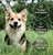 Pro-Kolin Advanced 15mL Dogs