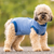 PetRhb Full Body Suit PetRhb Full Body Suit