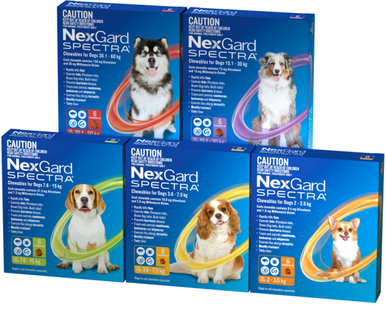 Nexgard spectra small hot sale dog best price