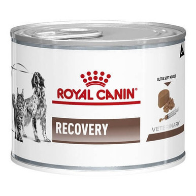 ROYAL CANIN ドッグフード退院サポート缶詰 15缶