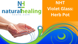 NHT Violet Glass: Herb Pot