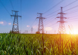 Exposure to Power Lines Linked to Cancer