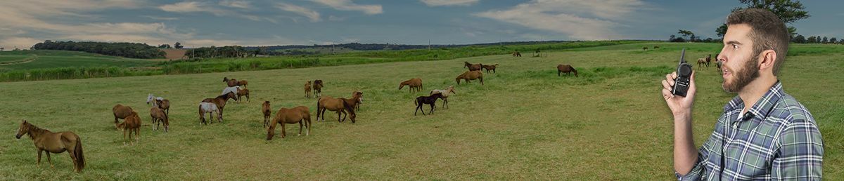 Animal Control Radios