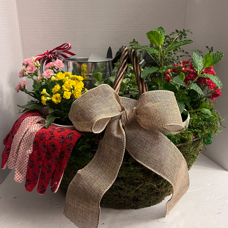 Basket Full Of Plants