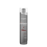 Lé Charmes Intensy Color Professional Silver Tinting Mask Hair Care 500ml/16.90 fl.oz