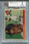1955 Topps Baseball #164 Roberto Clemente Rookie Card Graded BVG 2 Pirates