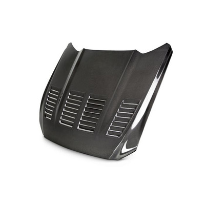 2015 - 2017 Mustang Double Sided Carbon Fiber Type-TW Hood